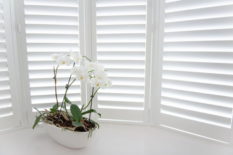 Shutters Replacement in Richmond, VA